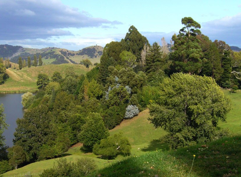 Hackfalls Arboretum, New Zealand